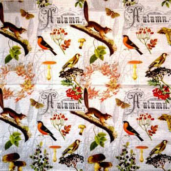 257 Autumn - 3-ply - Home Fashion